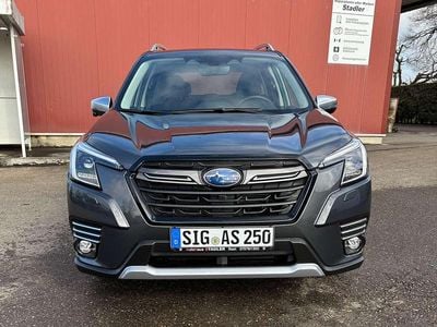 Gebraucht Subaru Forester Comfort 150 PS (110 kW) 2024 Magnetite gray SUV