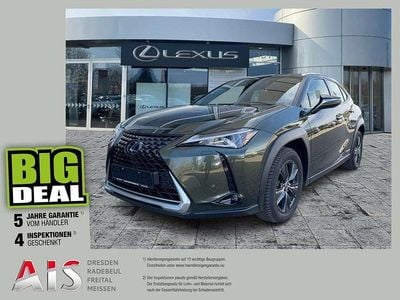 Gebraucht Lexus UX 250h Launch Edition 178 PS (130 kW) 2019 Terrane khaki SUV