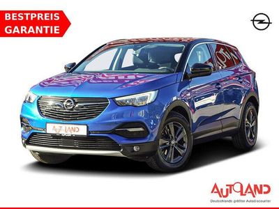 Gebraucht Opel Grandland X 131 PS (96 kW) 2019 Blau SUV