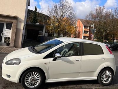 gebraucht Fiat Punto Weiß