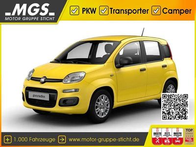 Neu Fiat Panda S 69 PS (50 kW) 2025 Positano gelb Kleinwagen
