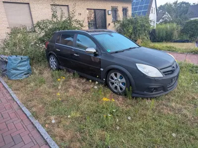Gebraucht Opel Signum