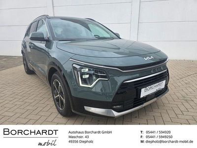 Gebraucht Kia Niro Comfort 128 PS (94 kW) 2025 Cge : cityscape grün metallic SUV