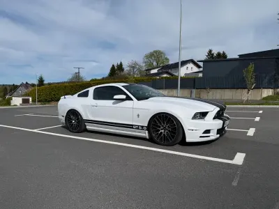 Brugt Ford Mustang GT Premium 426 HK (313 kW) 2014 Hvid