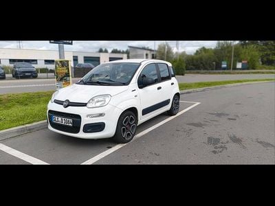 Weiß Gebraucht 2014 Fiat Panda Kleinwagen | 4.750 € (Guter Preis)