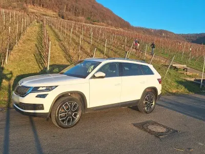 Second-hand Skoda Kodiaq Style 190 CP (139 kW) 2020 Alb SUV