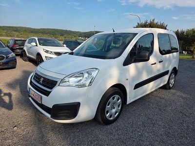 Peugeot Partner Tepee