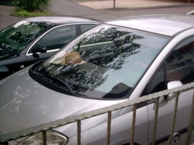 Citroën C8