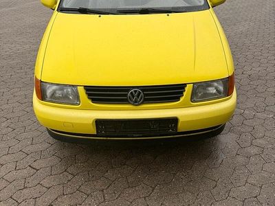 VW Polo