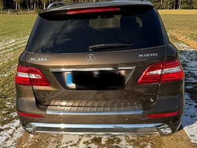 Gebraucht Mercedes ML350 258 PS (189 kW) 2013 Braun SUV