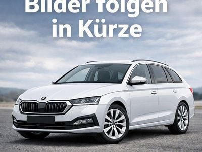 Weiß Gebraucht 2025 Skoda Octavia Selection Kombi | 28.490 € (Guter Preis)