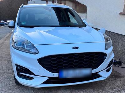 Gebraucht Ford Kuga ST-Line 225 PS (165 kW) 2023 Weiß SUV