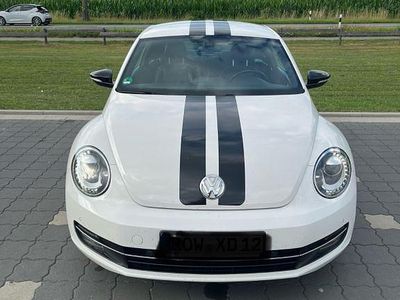 VW Beetle