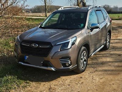 Gebraucht Subaru Forester Active 150 PS (110 kW) 2023 SUV