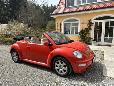 gebraucht VW Beetle 