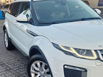 Gebraucht Land Rover Range Rover evoque SE Dynamic 150 PS (110 kW) 2017 Weiß SUV