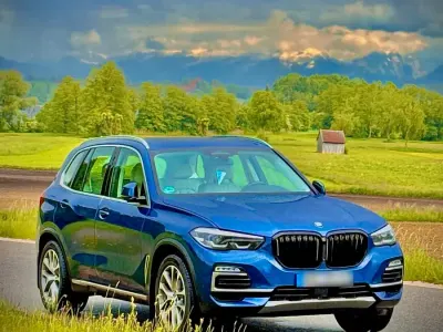 Gebraucht BMW X5 256 PS (188 kW) 2019 Blau SUV