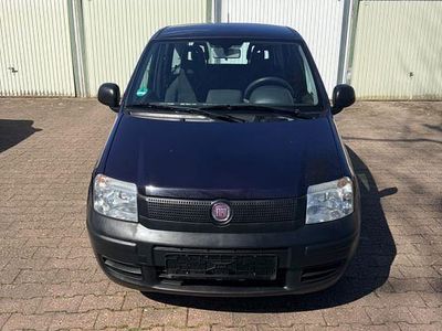 Gebraucht Fiat Panda 60 PS (44 kW) 2010 Blau Kleinwagen