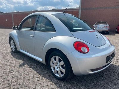 VW Beetle