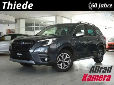 Gebraucht Subaru Forester