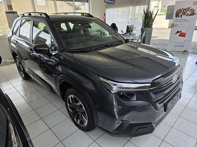 Nowe Subaru Forester Trend 136 KM (100 kW) 2026 Szary SUV