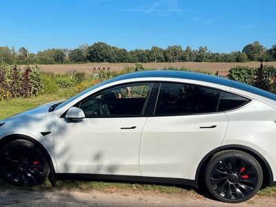 gebraucht Tesla Model Y Performance Dual Motor AWD / AHK / EAP