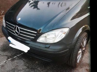 Mercedes Viano