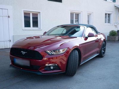 Gebraucht Ford Mustang 317 PS (233 kW) 2016 Rot Cabrio