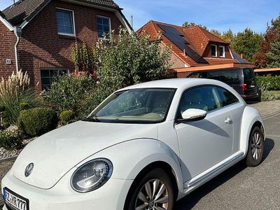 VW Beetle
