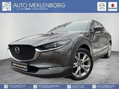 Gebraucht Mazda CX-30 Selection 150 PS (110 kW) 2021 Grau SUV