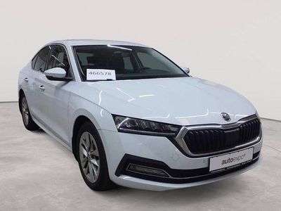 Gebraucht Skoda Octavia Style 150 PS (110 kW) 2022 Moonweiß perleffekt Limousine