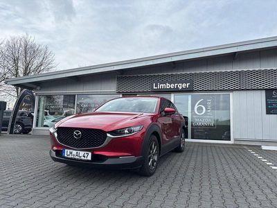 Gebraucht Mazda CX-30 Center-Line 140 PS (102 kW) 2025 SUV