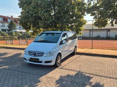 Mercedes Viano