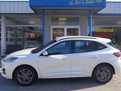 Gebraucht Ford Kuga ST-Line 150 PS (110 kW) 2023 Arktisweiss SUV
