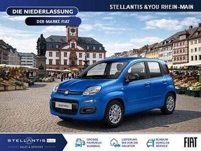 Neu Fiat Panda Icon 65 PS (47 kW) 2026 Blau Kleinwagen