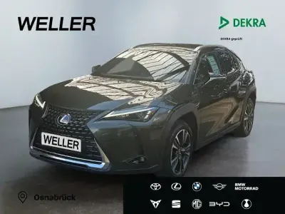 Gebraucht Lexus UX 250h