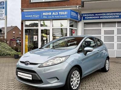 Gebraucht Ford Fiesta Trend 60 PS (44 kW) 2010 Avalongrau Kleinwagen