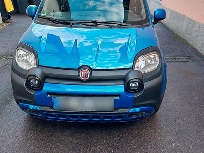 Gebraucht Fiat Panda Cross Cross 69 PS (50 kW) 2024 Blau Kleinwagen
