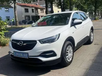 Gebraucht Opel Grandland X Selection 131 PS (96 kW) 2019 Jade weiss/arktis weiss SUV