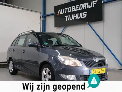 Gebraucht Skoda Fabia GreenLine 75 PS (55 kW) 2010 Grau Kombi