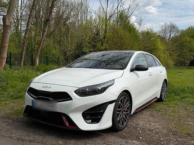 Gebraucht Kia ProCeed GT 204 PS (150 kW) 2024 Weiß Kombi