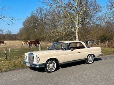 Gebraucht 1966 Mercedes 250 SE Coupé | 66.000 €