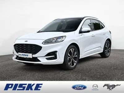 Gebraucht Ford Kuga ST-Line X 150 PS (110 kW) 2024 Frozen white SUV