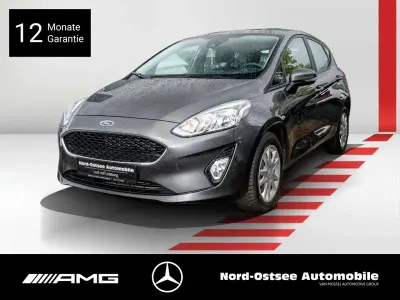 Gebraucht Ford Fiesta Cool & Connect 86 PS (63 kW) 2019 Grau metallic Kleinwagen