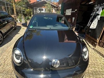 VW Beetle