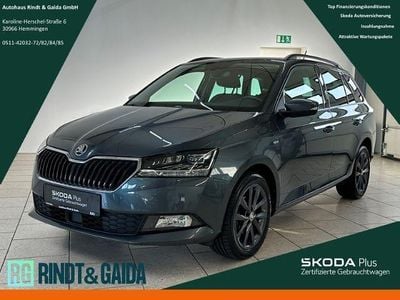 Grau Gebraucht 2019 Skoda Fabia Ambition Kombi | 12.199 € (Etwas zu teuer)