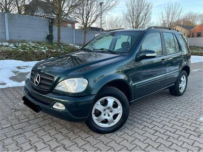 Gebraucht Mercedes ML270 163 PS (119 kW) 2004 Grün SUV