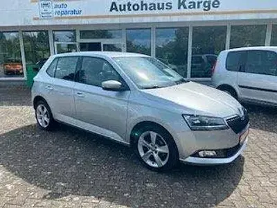 Gebraucht Skoda Fabia Cool Plus 75 PS (55 kW) 2018 Silber Kleinwagen