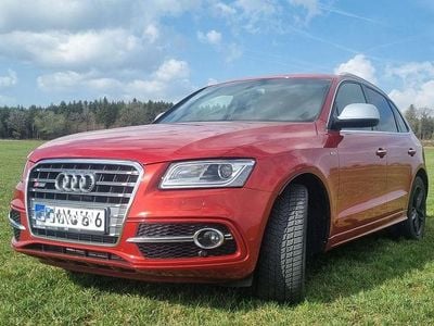 Gebraucht Audi SQ5 Ambiente 313 PS (230 kW) 2015 Rot SUV