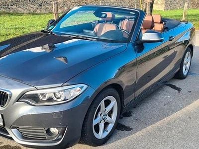 Gebraucht BMW 220 Advantage 184 PS (135 kW) 2017 Grau Cabrio